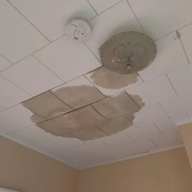 Ceiling Water Damage Repair in Ticonderoga, NY